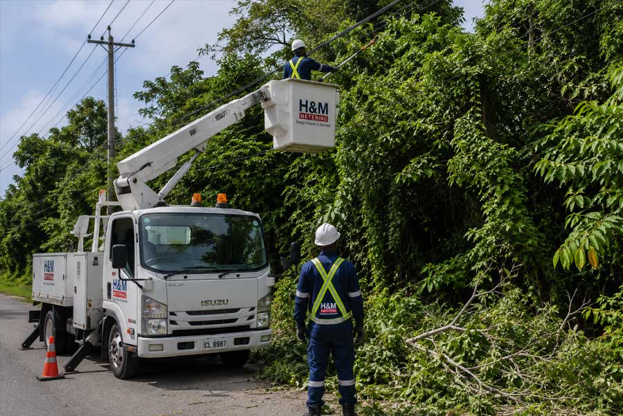 Vegetation management
